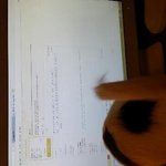 [비스트] 양<b>갱이</b>가 팬카페에 직접 글남김