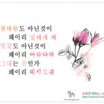[댓글부탁] 너는 나에게 봄처럼 따뜻한가 봄