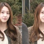 [블락비]  사담) 안들어오면 머리대머리된다