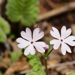 [시우민] 여러분일코짤이<b>탄생</b>한거같아요