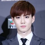 [EXO] 헐수호어떡해