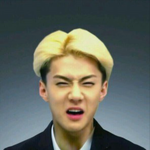 [EXO] 세훈<b>증사</b>