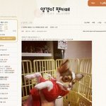 [비스트] 양갱이 팬카페 기사까지 남ㅋㅋㅋ