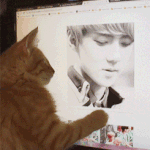 [세훈] 고양이도 반한 오세훈미모