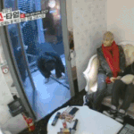 [EXO] 세훈이 방 <b>놀러</b>간 타오