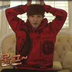 [EXO] 찬열이 <b>울프</b>!
