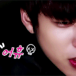 [인피니트] 존나 뒷북 미안한데