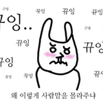 [블락비] 와<b>진쯔</b>