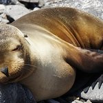 [EXO] 너넨<b>버릇</b>뭐뭐있어?