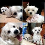 사랑스런 <b>울집</b> 둥+둥뚠~