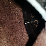 <b>gs</b>쇼핑이용하시는분들.