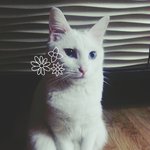 우리터앙 <b>아가</b>