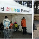 지산포레스트리조트에서 준비한 신년운세 이벵