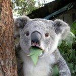 [CHEN] 흔한 종대수니의 티저<b>반응</b>.<b>jpg</b>