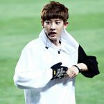 [찬열] 허진짜ㅠㅠㅠㅠㅠㅠ박차뇨르ㅠㅠㅠㅠ
