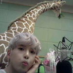 [EXO] 흔한 아이돌 매니저의 고통.<b>jpg</b>