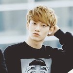 [CHEN] 종대팬