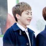 [시우민] <b>대구</b>에 햄스터가 왔다던데 이름이 시우민이라고