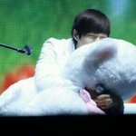 [인피니트] 저곰인형은