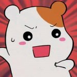 [블락비] ...
