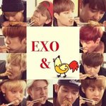 [EXO] <b>아웅</b>마싯쩡