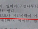 [학교] 안내문이 내머리카락을 들었다놨다헤이