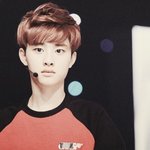 [EXO] 얘들아 이거진짜야?
