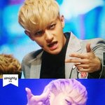 [<b>타오</b>] <b>타오</b> 너때문에죽겟어 