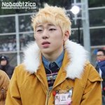 [블락비] 지호노란<b>야상</b>사진있는꿀벌~