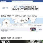 [<b>유용</b>정보] 좋아요 할만한 페북 페이지 추천