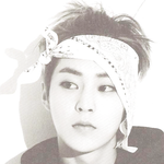 [EXO] 이사진 <b>xoxo</b>앨범이야 으르렁앨범이야?