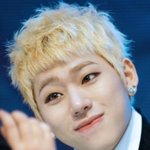 [블락비] 벌들 잘..거야?