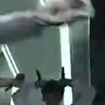 [BAP] 귀요미용국