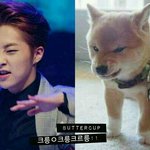 [시우민] ㅋㅋㅋㅋㅋ <b>이사진</b> 봤어?ㅋㅋㅋㅋ