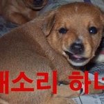 [EXO] ?ㅋㅋㅋㅋ뭐여