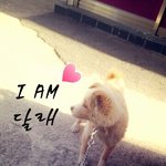 [아이엠달래] 달래의 시골적응기 "i <b>am</b> 달래" + 내용 추가
