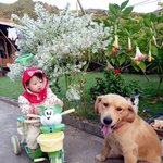 <b>몽이</b>와 해롱이의 일상