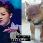 [EXO] 시우민 <b>개상</b>이네