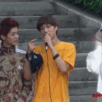 [카이] 투표~ <b>지상</b> 최대의 종구는?