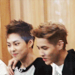 [EXO] 클민vs타세 <b>어색</b>한 커플은?