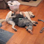 [인생<b>무상</b>] 보이기 시작했다(44) 몇번에 꿈...그리고 이별