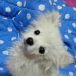 [개념상실] 2014년 2월 11일 <b>화요일</b>