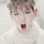 [EXO] 아기<b>사자</b>