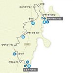 제주도는 벌써 봄이래요~