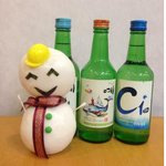 우리나라가 겨울왕국 될판 !!!]