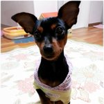 [완두콩이] <b>한지붕</b> 세여인 19_ 오랫만이예요~