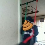 흔한남매노는법