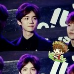 [루한] 오늘 <b>사족</b>보행 예약하겠음