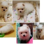 도와주세요..ㅠㅠ