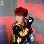 [시우민] 도대체 코디는 왜 저런<b>장갑</b>을 끼게해서